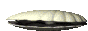 Button1007