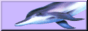 Button1033