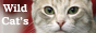 Button1152