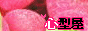 Button1215