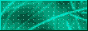 Button318