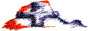 Button645