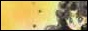 Button707